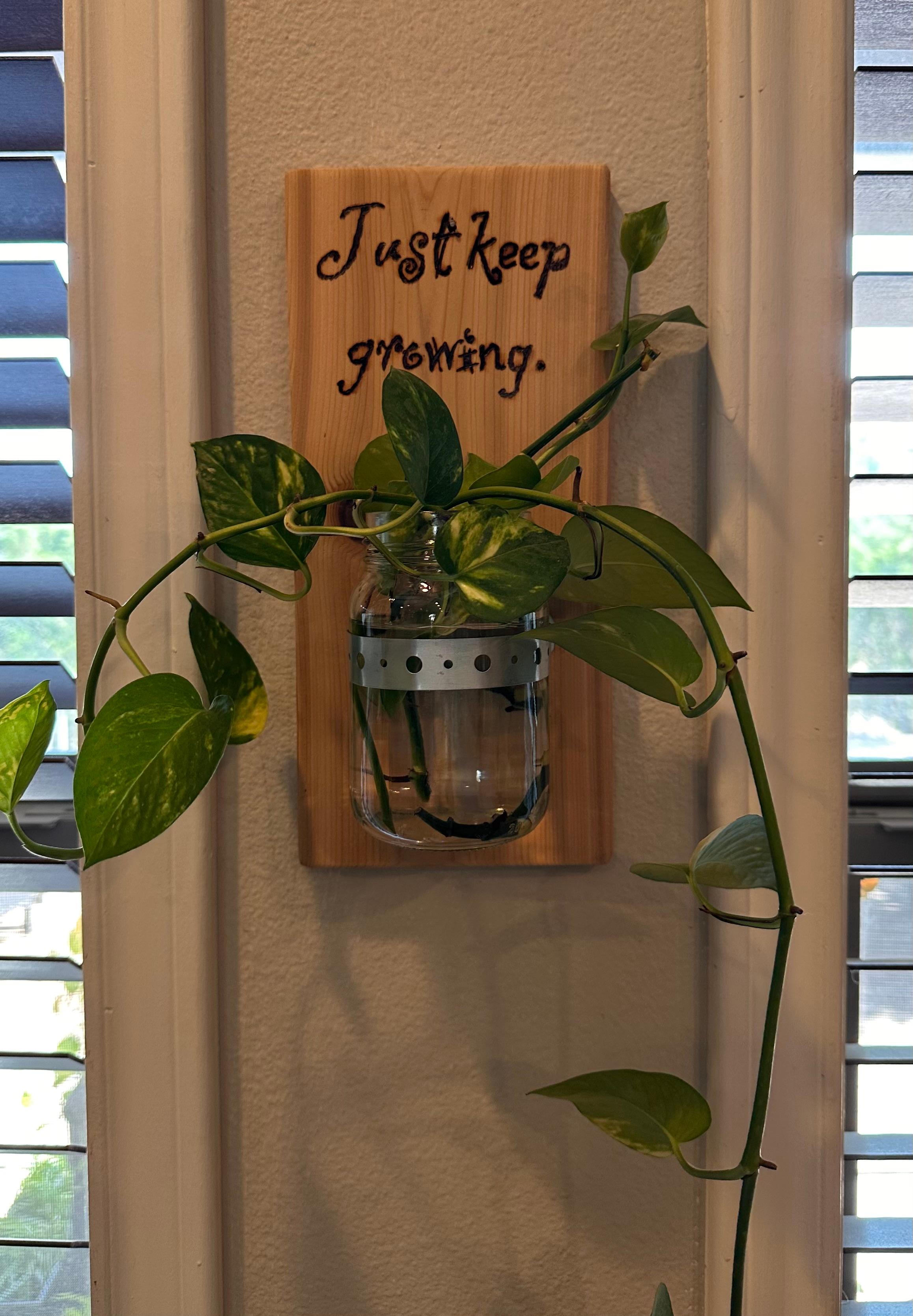 Custom Cedar Sconces – Country Coasters